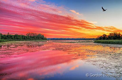 Rideau Canal At Sunrise_35585-90.jpg - Photographed along the Rideau Canal Waterway near Kilmarnock, Ontario, Canada.